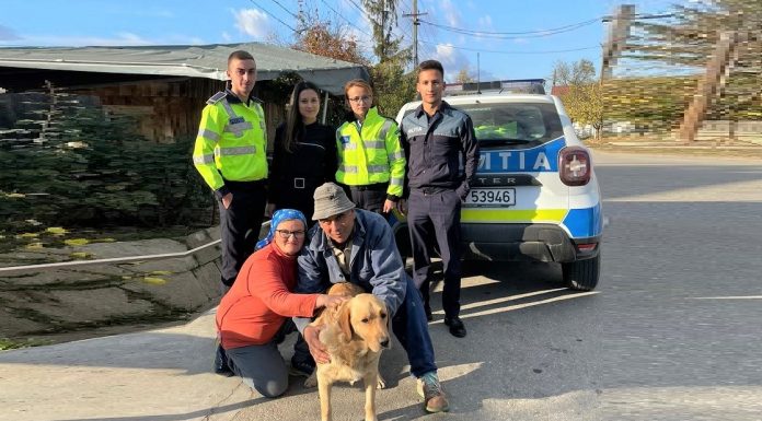 Vâlcea: Câine dispărut, găsit de polițiștii din Zătreni