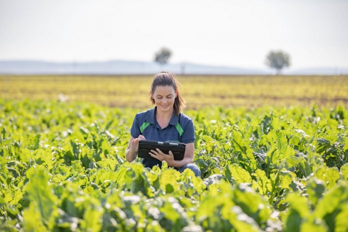 Agra Asigurări creează noi locuri de muncă în agricultură și recrutează 50 de evaluatori de daune