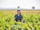 Agra Asigurări creează noi locuri de muncă în agricultură și recrutează 50 de evaluatori de daune
