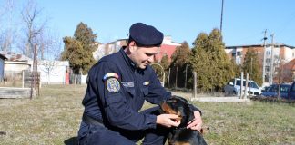 Rottweilerul EPO, cel mai nou membru al echipei Jandarmeriei Olt