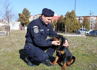 Rottweilerul EPO, cel mai nou membru al echipei Jandarmeriei Olt