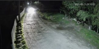 Romsilva repune în funcțiune sistemul de monitorizare video la Ocolul Silvic Răstolița din cadrul Direcției Silvice Mureș