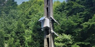 Romsilva a montat camere video de monitorizare pentru prevenirea tăierilor ilegale