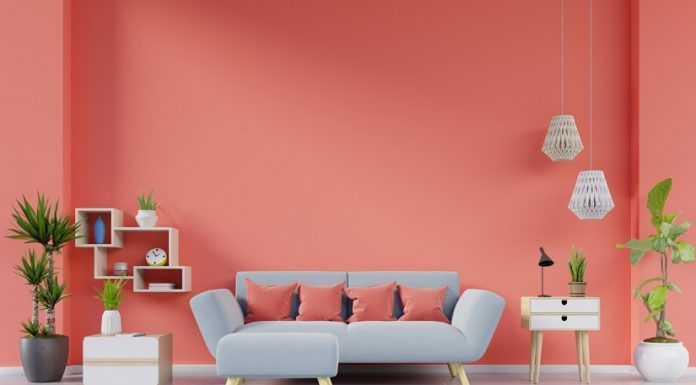 Te pregătești să îți zugrăvești casa? Citește acest articol!