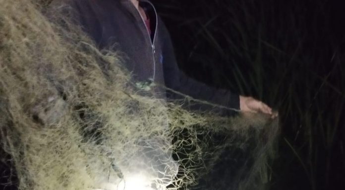 Depistat de jandarmi la pescuit ilegal pe râul Olt