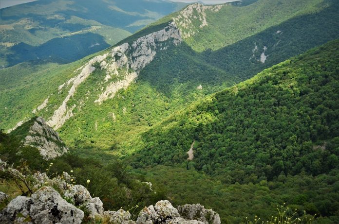 ROMSILVA intensifică procesul de intabulare a suprafețelor de fond forestier de stat