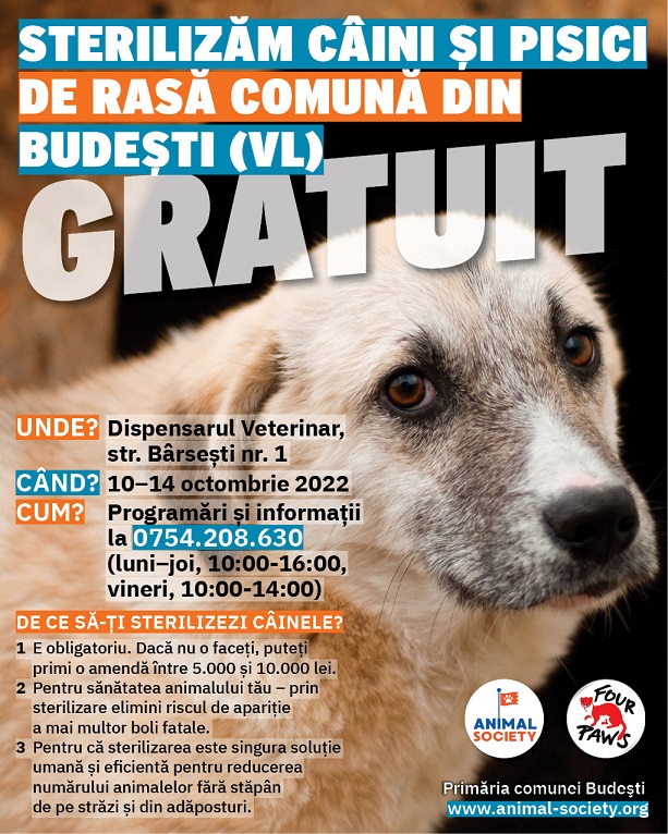 Animal Society derulează campanii de sterilizări gratuite pentru câini și pisici