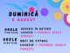 Festivalul Tinerilor Goleșteni – primul festival destinat tinerilor din Oltenia