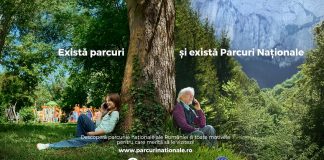 Parcurile Generațiilor