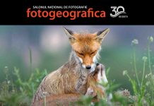 FOTOGEOGRAFICA 2026 – trei decenii de fotografie românească. Înscrierile, prelungite până la 16 august