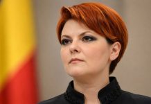 Olguța Vasilescu, politica fără jumătăți de măsură