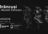 „Brâncuși și muzele dansului”: expoziție inedită la Târgu Jiu, la 150 de ani de la nașterea marelui sculptor