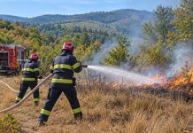 Mehedinți: 17 incendii în 24 de ore. Pompierii au intervenit la fabrica de celuloză și în zonele de pădure