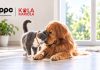 Ateliere gratuite pentru iubitorii de animale. PPC și Kola Kariola, campanie în patru orașe, inclusiv Râmnicu Vâlcea