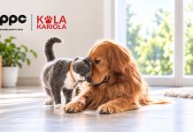 Ateliere gratuite pentru iubitorii de animale. PPC și Kola Kariola, campanie în patru orașe, inclusiv Râmnicu Vâlcea