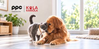 Ateliere gratuite pentru iubitorii de animale. PPC și Kola Kariola, campanie în patru orașe, inclusiv Râmnicu Vâlcea