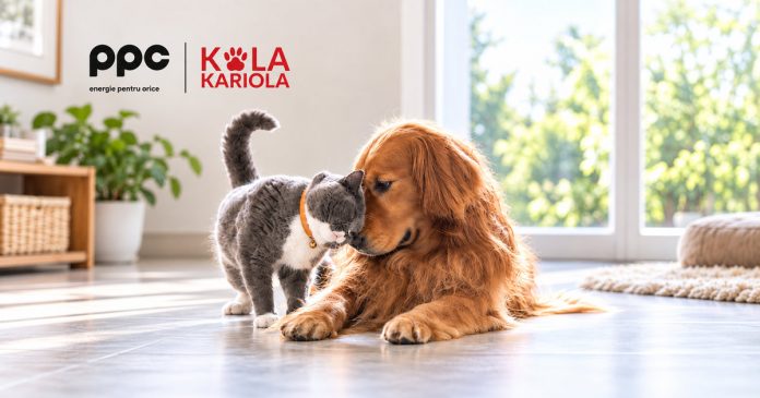 PPC și Kola Kariola