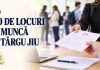730 de locuri de muncă oferite la Târgu Jiu