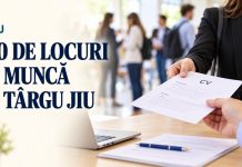 730 de locuri de muncă oferite la Târgu Jiu