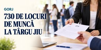 730 de locuri de muncă oferite la Târgu Jiu