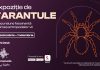 Expoziție de tarantule și alte specii exotice în zona Info Desk din Promenada Craiova