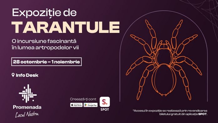 Expoziție de tarantule și alte specii exotice în zona Info Desk din Promenada Craiova