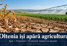 Fermierii din Oltenia cer soluții pentru supraviețuirea agriculturii