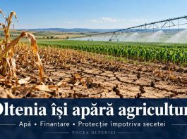 Fermierii din Oltenia cer soluții pentru supraviețuirea agriculturii