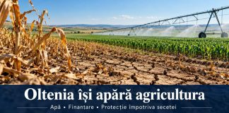 Fermierii din Oltenia cer soluții pentru supraviețuirea agriculturii