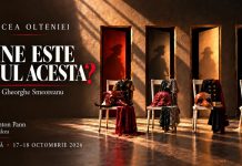 Gheorghe Smeoreanu la Râmnicu Vâlcea: „Cine este omul acesta?”