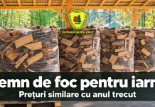 Lemnul de foc, la prețuri similare cu anul trecut. Romsilva anunță oferta pentru 2026