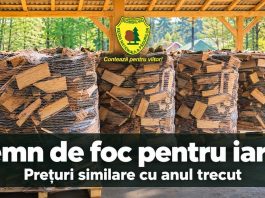 Lemnul de foc, la prețuri similare cu anul trecut. Romsilva anunță oferta pentru 2026