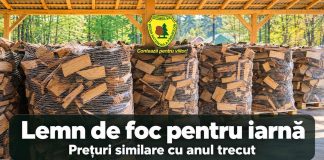 Lemnul de foc, la prețuri similare cu anul trecut. Romsilva anunță oferta pentru 2026