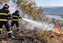 Mehedinți: 17 incendii în 72 de ore, 180 de hectare afectate la Eșelnița