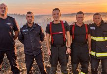 Mehedinți: 41 de incendii de vegetație în trei zile