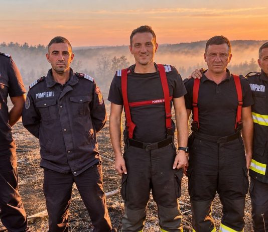 Mehedinți: 41 de incendii de vegetație în trei zile