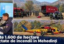 Peste 1.600 de hectare afectate de incendii în Mehedinți