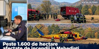Peste 1.600 de hectare afectate de incendii în Mehedinți