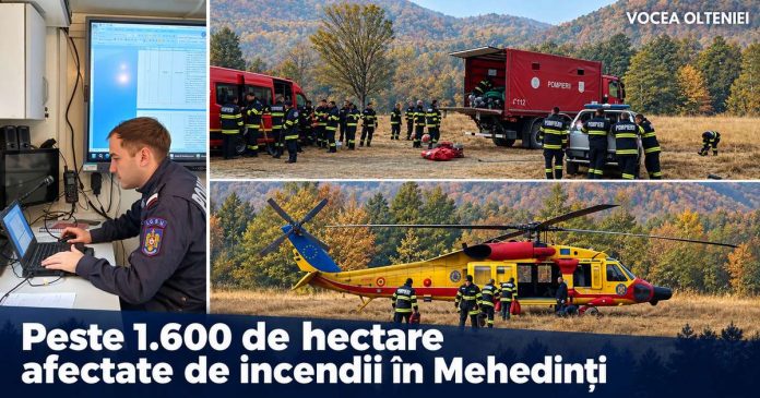 Peste 1.600 de hectare afectate de incendii în Mehedinți