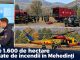 Peste 1.600 de hectare afectate de incendii în Mehedinți