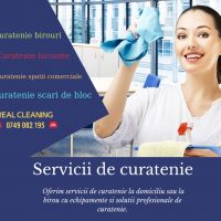Ai nevoie de curatenie? Echipa noastra e gata sa te ajute rapid si eficient!