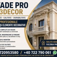 Lucrari profesionale de fatade si elemente decorative pentru constructii - fatadepro.com