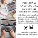 Promovare in 450 site-uri de anunturi online