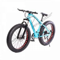 Bicicleta Fat Bike