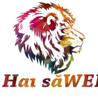 Realizam site-uri de calitate oamenilor de afaceri