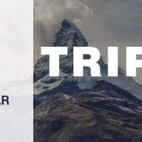 Triptop