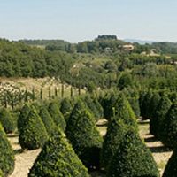 Oferta pentru toamna 2018