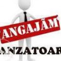 Angajez vanzatoare Ghencea