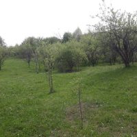 vand teren la 20 km de Sinaia , Campina,  Poiana Campina si Provita 9-22 euro mp.