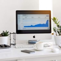 Suntem in cautarea unui Junior Digital Marketing Specialist